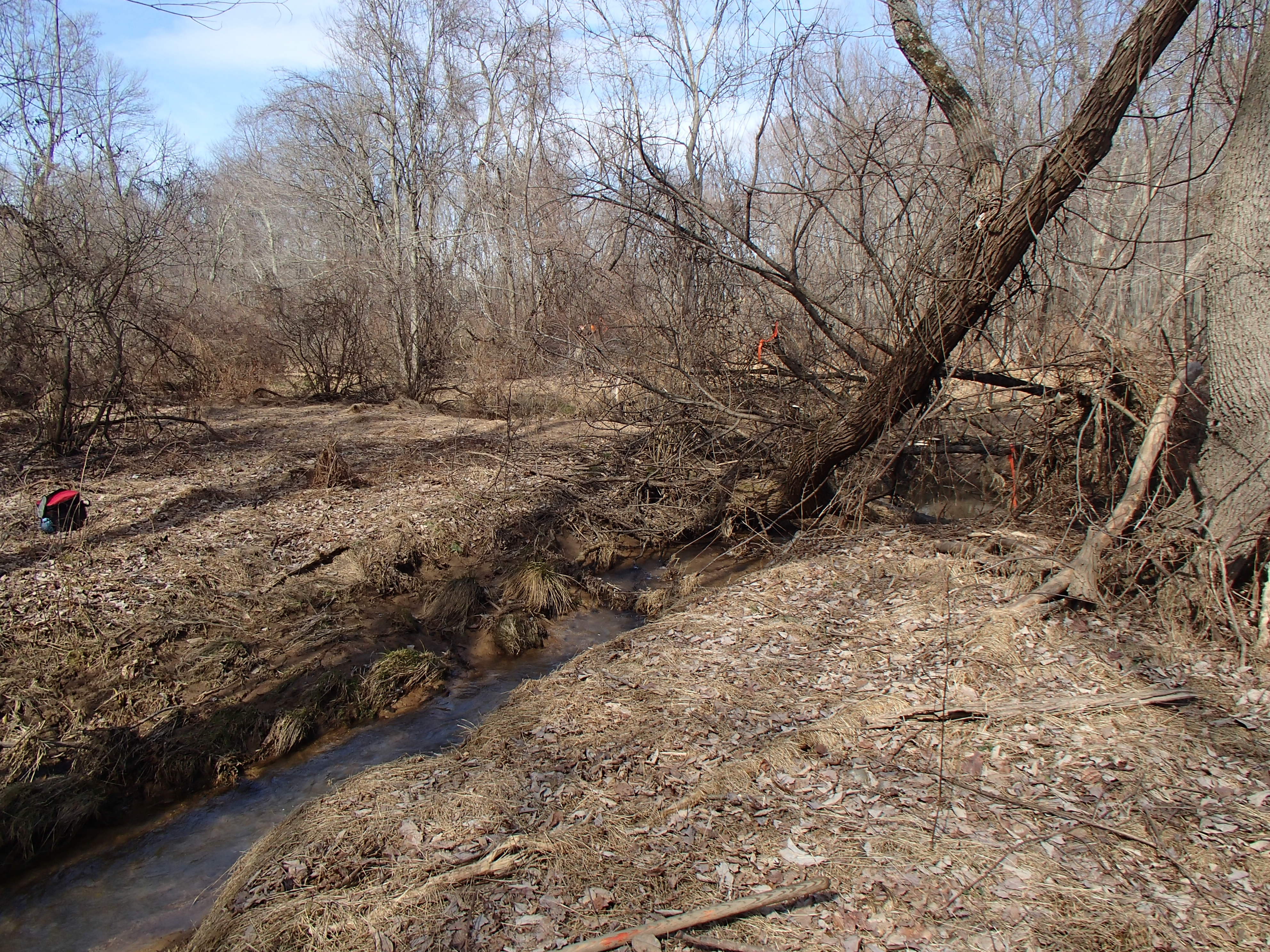Field photo showing stream conditions at site JONE-204-R-2016_Midpoint upstream